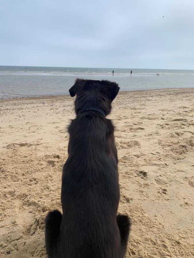 Norfolk Caravan Staycation Pet Friendly Belton with Browston 외부 사진